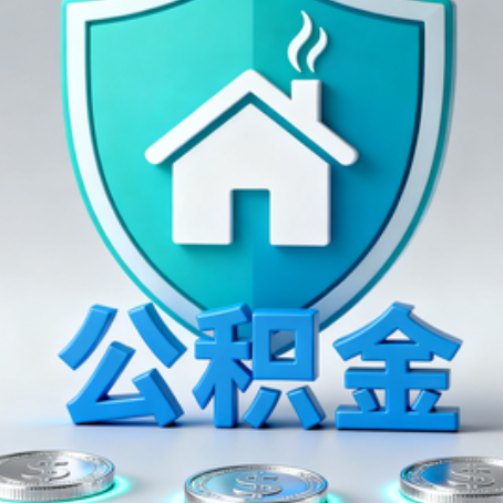 丽江公积金代办行业观察：谁在提供专业服务？